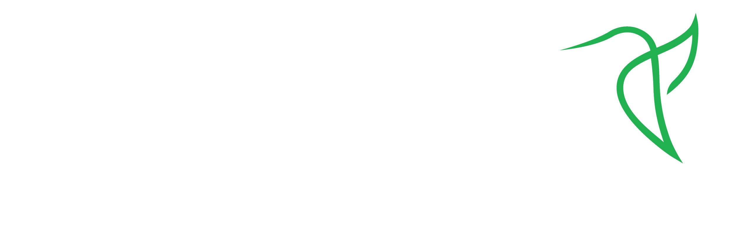 Teste
