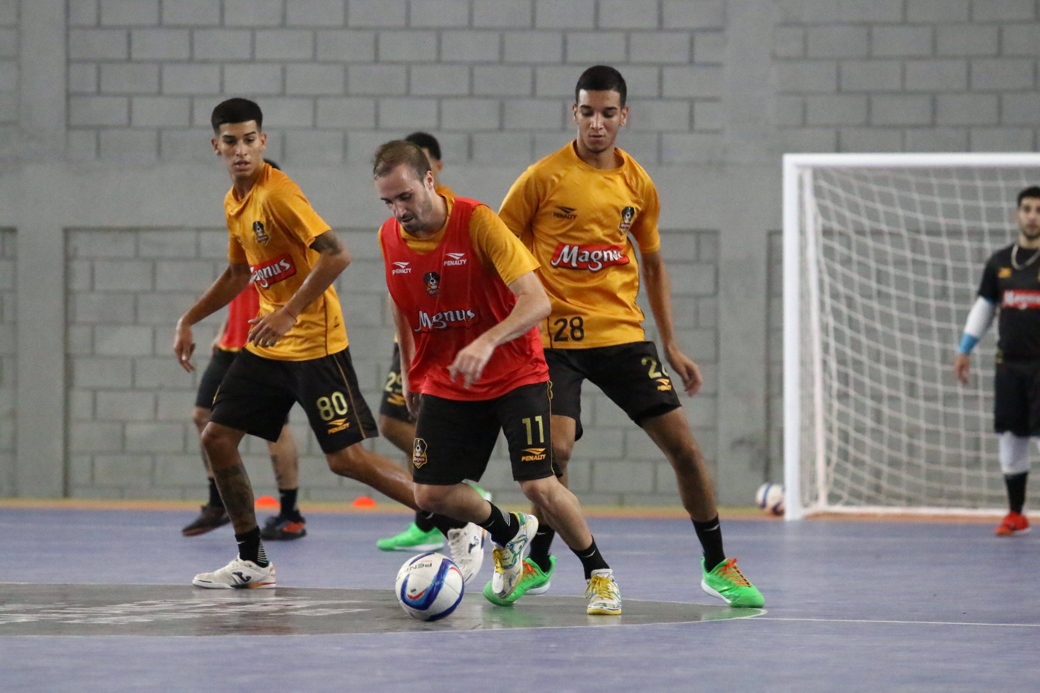 Ingressos à venda para duelo entre Magnus Futsal e Praia Clube